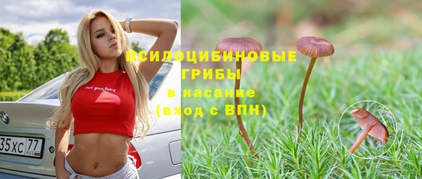 стафф Алексеевка
