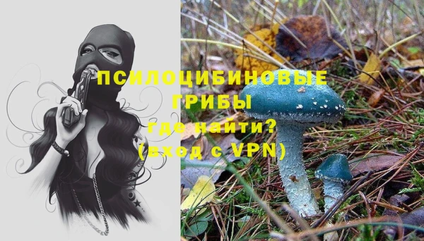 стафф Алексеевка